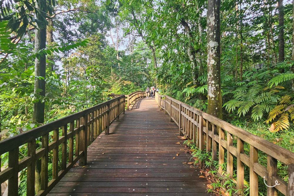Hindhede Nature Park: Easy Hike With Photo Ops Of A Stunning Quarry Along The Rail Corridor - Wheelchair-friendly