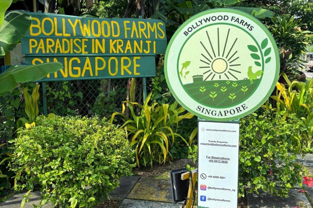 Ivy Singh-Lim: The Gentle Warrior Who Blazed A Trail For Singapore Farming - Bollywood Farms