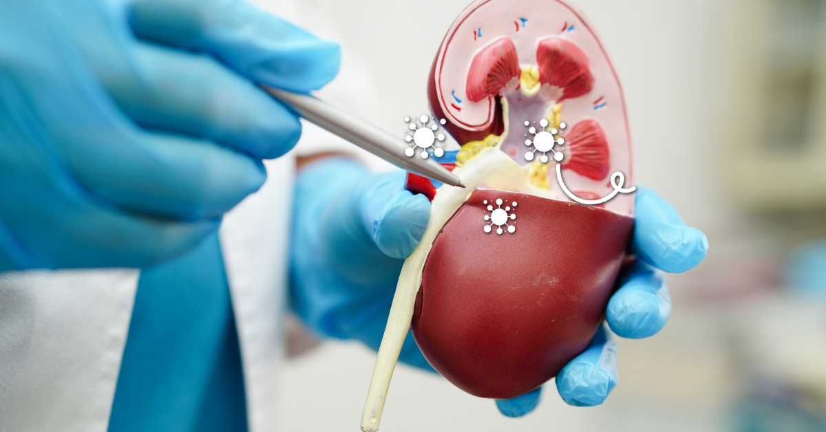 Chronic Kidney Disease: Don't Be Blindsided By Singapore's Silent Killer
