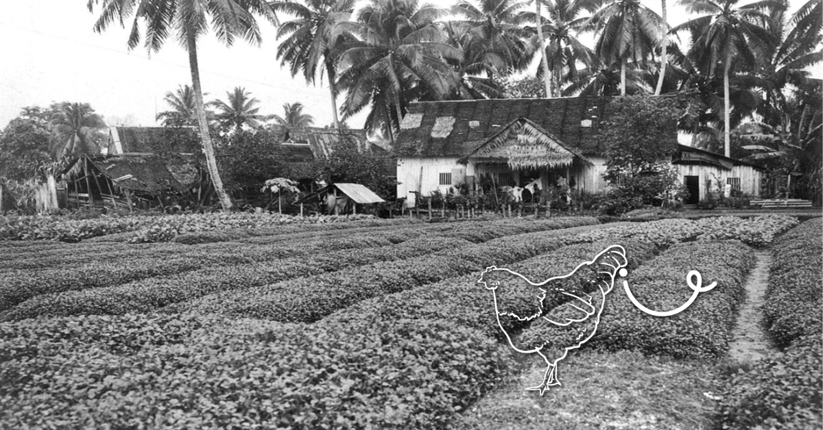 A Silver's Reflection On Singapore: From The Early Days To SG60