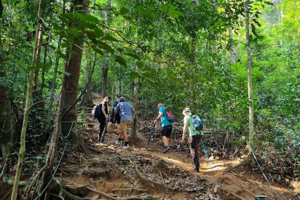 5 Beginner-Friendly Malaysia Hiking Trails Near Johor For Easy Day Trips From Singapore - Gunung Lambak
