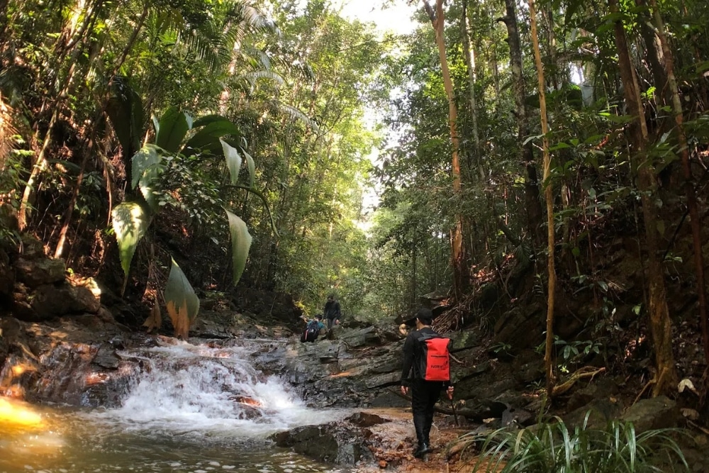 5 Beginner-Friendly Malaysia Hiking Trails Near Johor For Easy Day Trips From Singapore - Gunung Muntahak