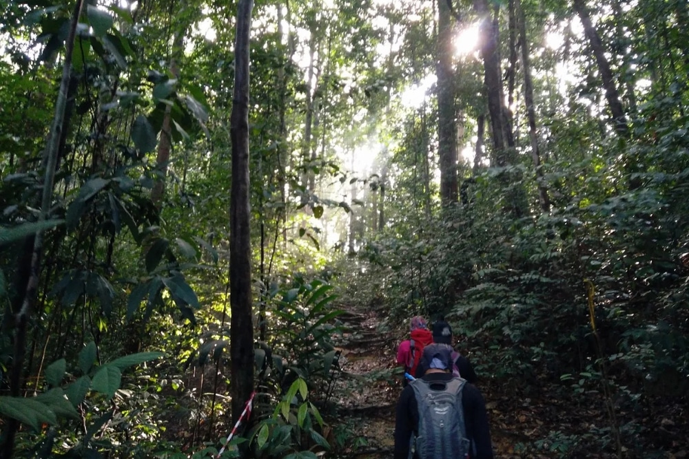 5 Beginner-Friendly Malaysia Hiking Trails Near Johor For Easy Day Trips From Singapore - Guning Panti