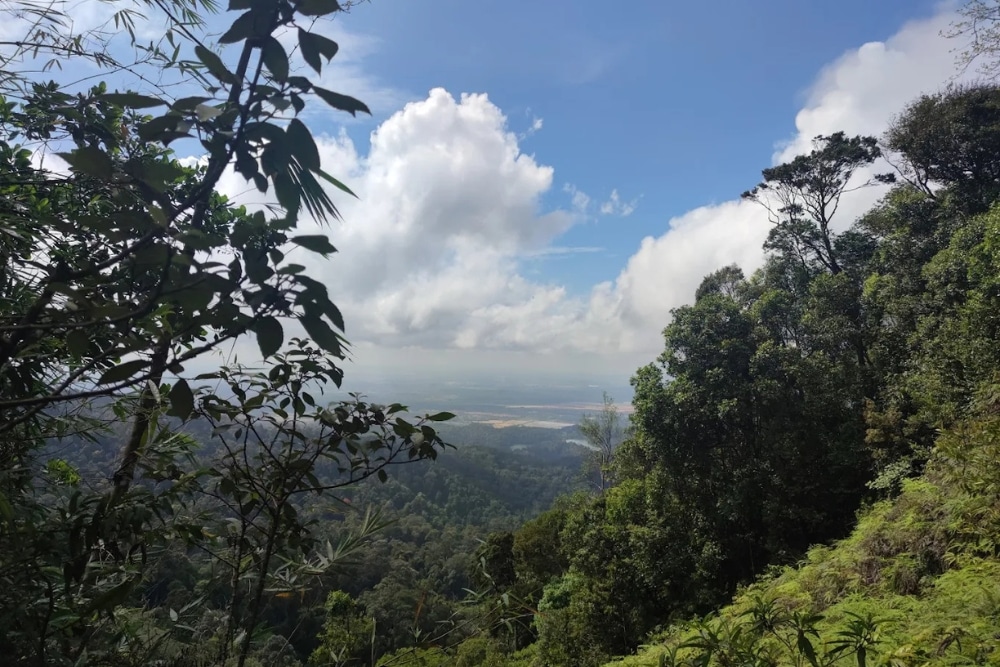 5 Beginner-Friendly Malaysia Hiking Trails Near Johor For Easy Day Trips From Singapore - Gunung Pulai
