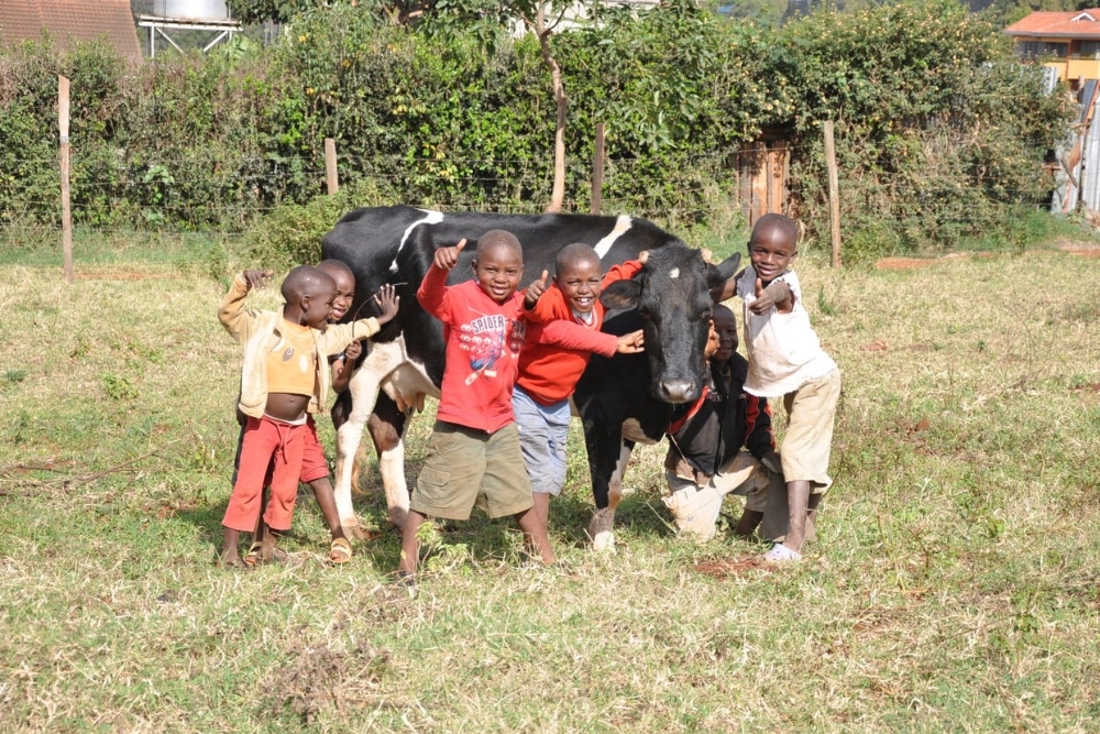 Meet Alvin Yong, The Singaporean Social Entrepreneur Changing Lives Overseas - Kids from Children’s Garden Home pictured with a cow
