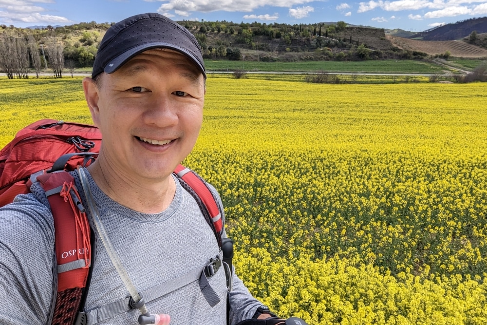 Camino de Santiago At 55: Lessons, Tips, And Life-Changing Insights From A 925km Walk - Beautiful rapeseed fields near Obanos