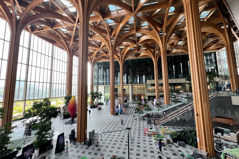 Guide To Kent Ridge Park: Hilltop Views, Bird Spotting, And Wartime Tales - Geneo Mall