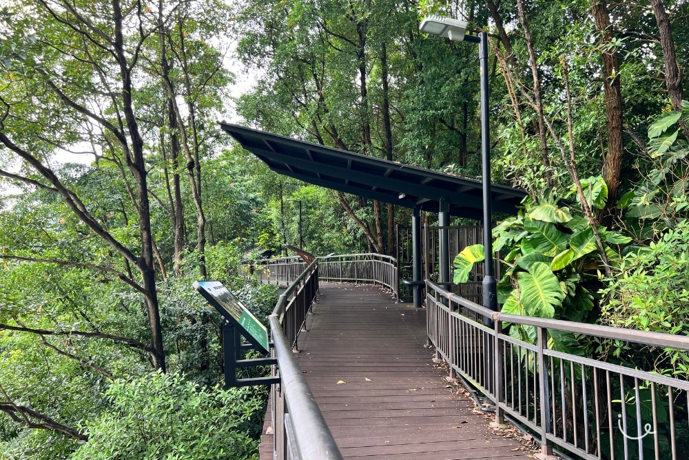 Guide To Kent Ridge Park: Hilltop Views, Bird Spotting, And Wartime Tales - Shelter