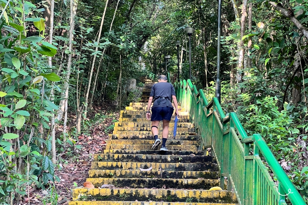 Guide To Kent Ridge Park: Hilltop Views, Bird Spotting, And Wartime Tales - Stairways