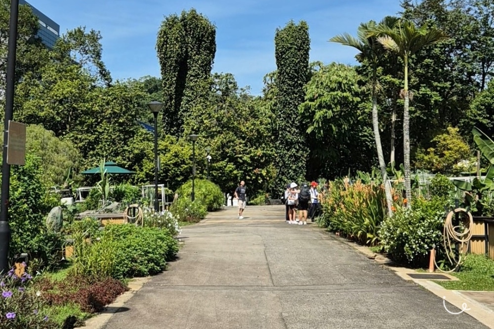 Guide To Hort Park: ThemedGardens , Open Picnic Lawns And Chill Vibes - Road beside an allotment garden