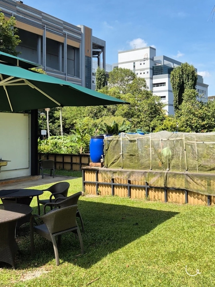 Guide To Hort Park: ThemedGardens , Open Picnic Lawns And Chill Vibes - Benches