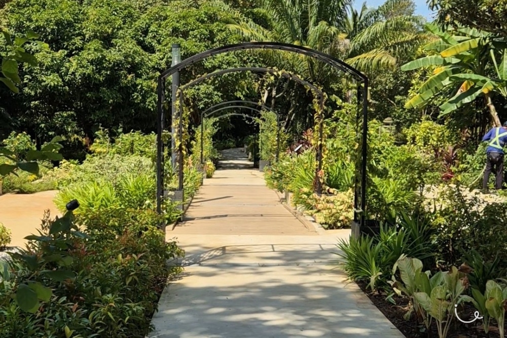 Guide To Hort Park: ThemedGardens , Open Picnic Lawns And Chill Vibes - Ease of Walk