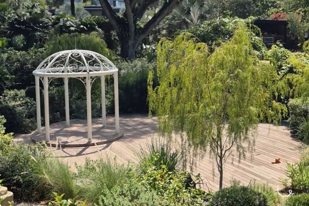 Guide To Hort Park: ThemedGardens , Open Picnic Lawns And Chill Vibes - Scented Garden