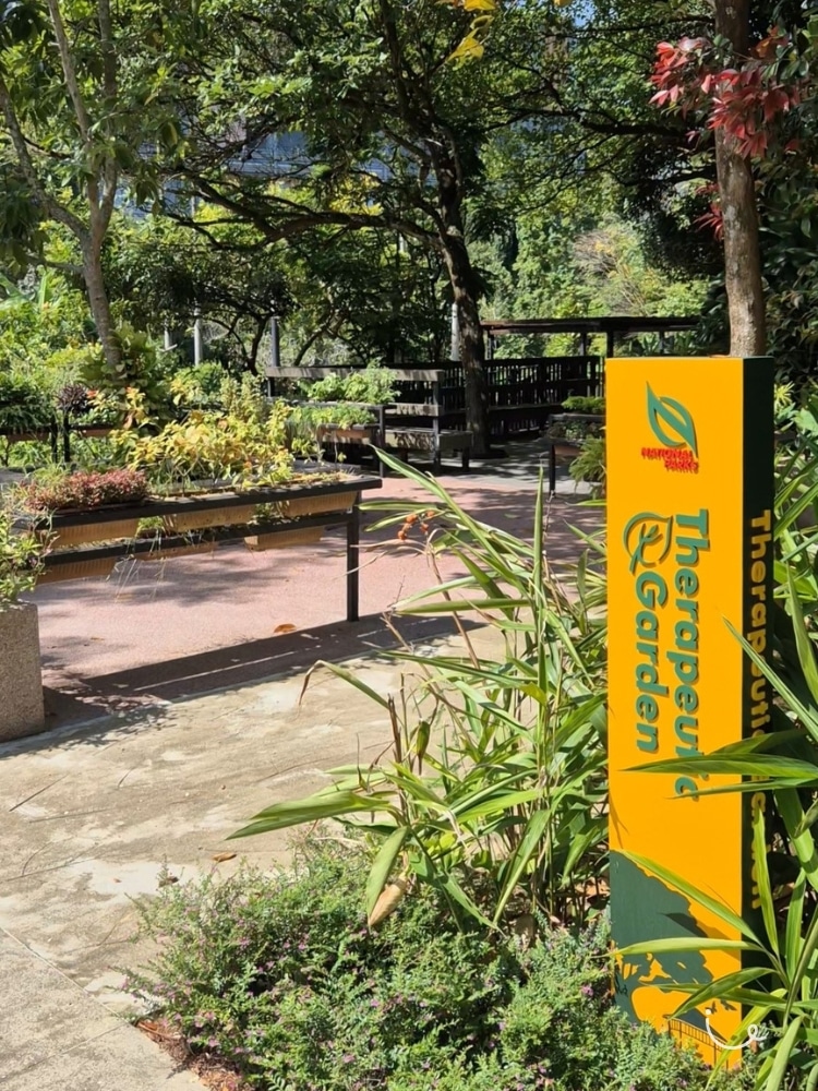 Guide To Hort Park: ThemedGardens , Open Picnic Lawns And Chill Vibes - Therapeutic Garden