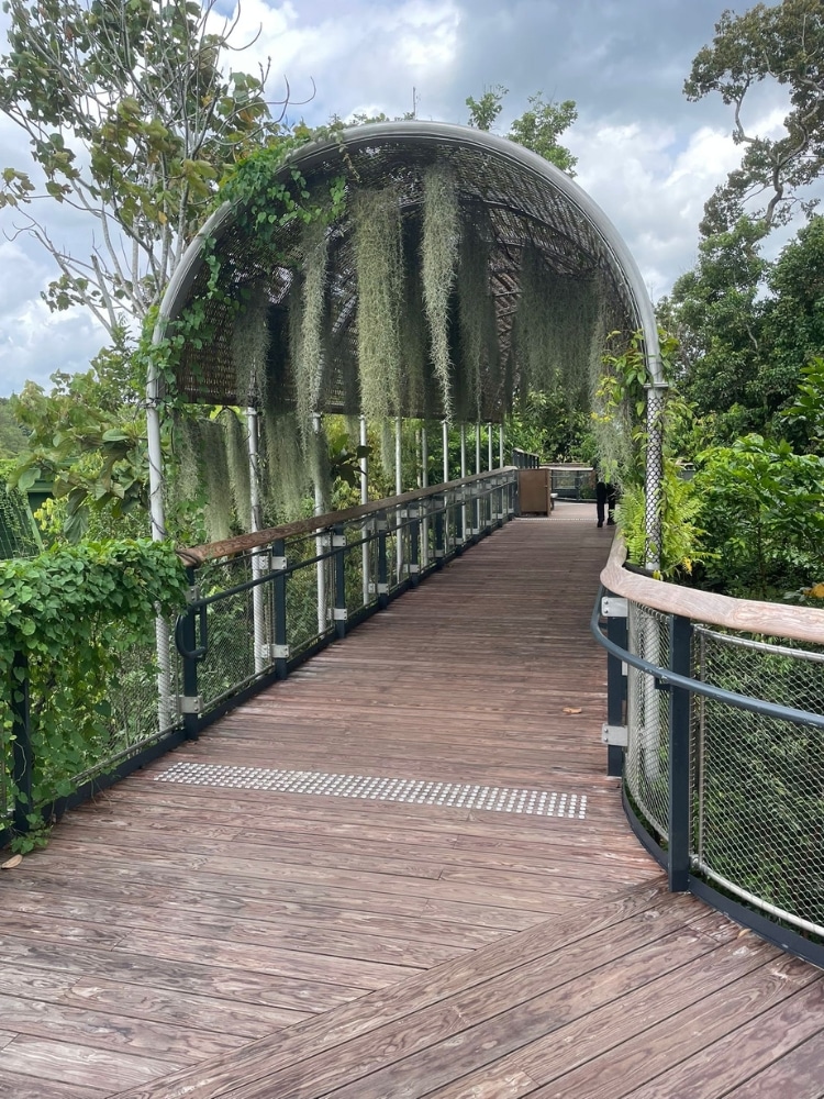 Rainforest Wild Asia: Senior-friendly Walks, Adventurous Treks, And Animal Spotting - Boardwalk and shelter