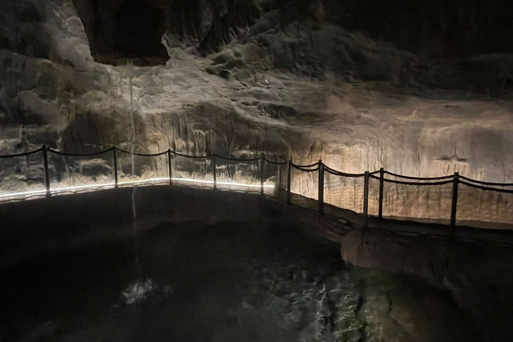 Rainforest Wild Asia: Senior-friendly Walks, Adventurous Treks, And Animal Spotting - Cavern