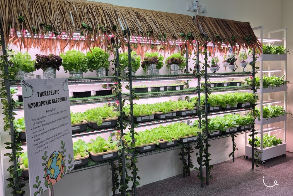 At The New St Andrew's Community Hospital, Find A Donated MRT Train Carriage For Rehab, Caregivers To Hangout - Indoor hydroponics garden