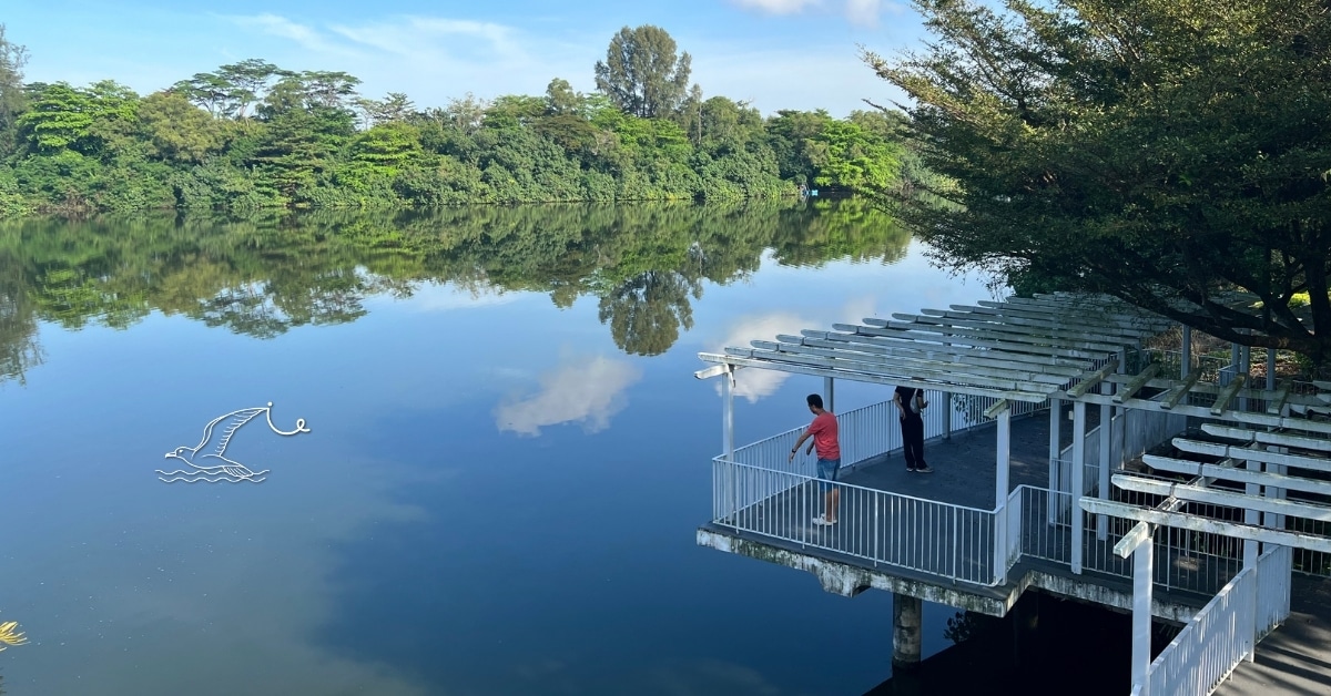 Guide To Punggol Waterway Park: Singapore’s Longest Manmade Waterway With Quirky Bridges And Sun-soaked Reservoir Views